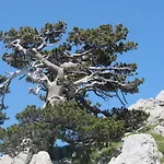 Bed & Breakfast Montagne Rocciose