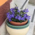 Montagne Rocciose Bed & Breakfast Frascineto