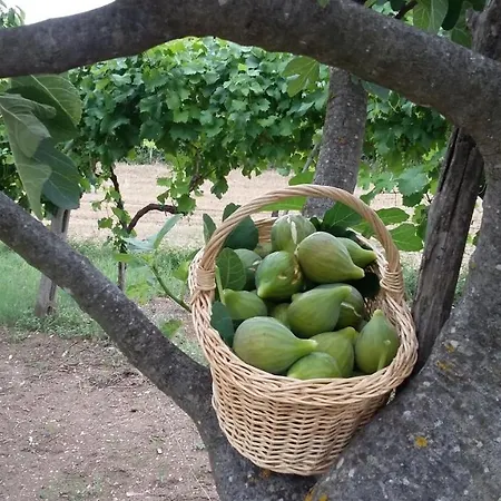 فندق مبيت وإفطار Montagne Rocciose 3*