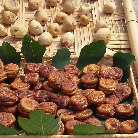 فندق مبيت وإفطار Montagne Rocciose 3*