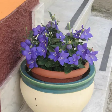 Montagne Rocciose Bed and Breakfast Frascineto