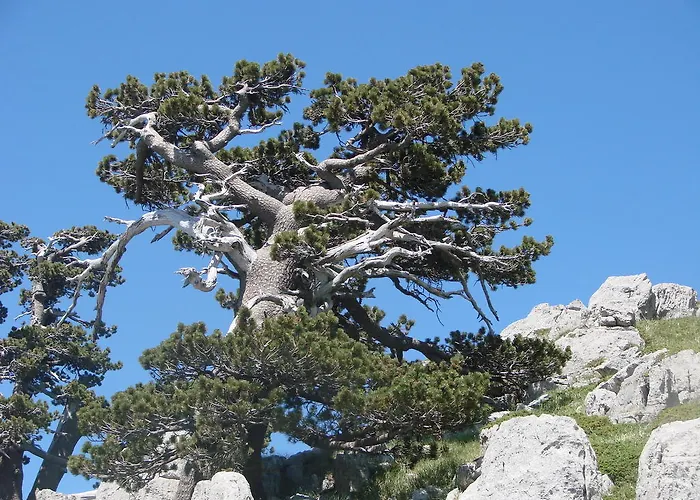 לינה וארוחת בוקר Montagne Rocciose