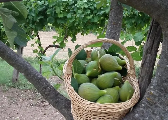 לינה וארוחת בוקר Montagne Rocciose 3*