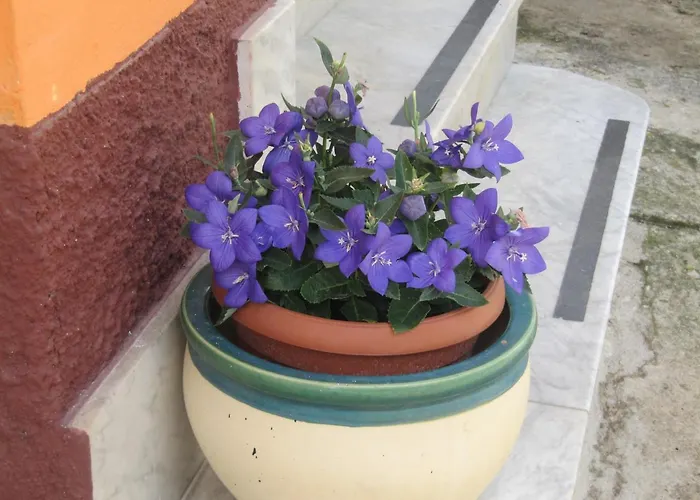 Montagne Rocciose לינה וארוחת בוקר Frascineto